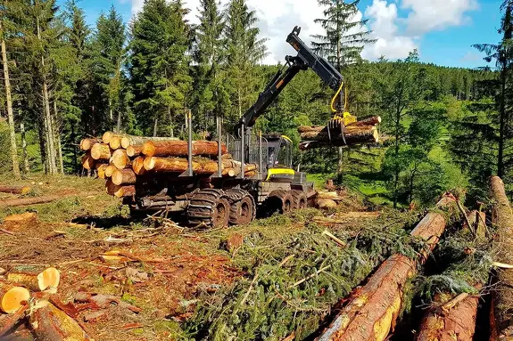 Аренда форвардера Ponsse Elk