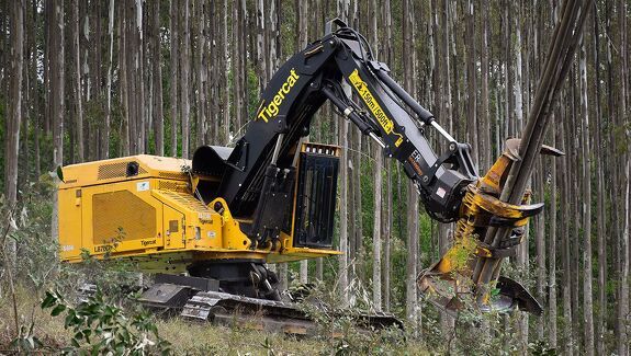 Аренда валочно-пакетирующей машины Tigercat L855E