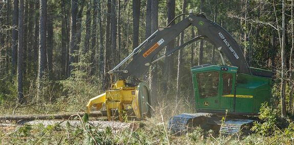 Аренда валочно-пакетирующей машины John Deere 803M