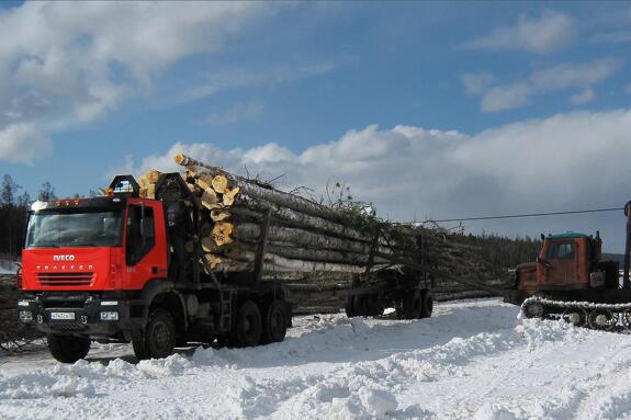 Аренда лесовоза Iveco АМТ 633930